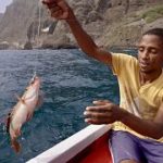 Что значит партнёрство с ЕС для рыбаков Западной Африки?