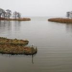 Проект LiveLagoons очищает воды Балтийского моря