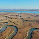 Как болота замедляют изменение климата?