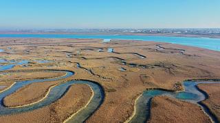 Как болота замедляют изменение климата?