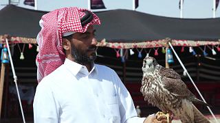 Катар стремится сохранить уникальное биоразнообразие и древние традиции